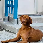Vadooinn Vadu
