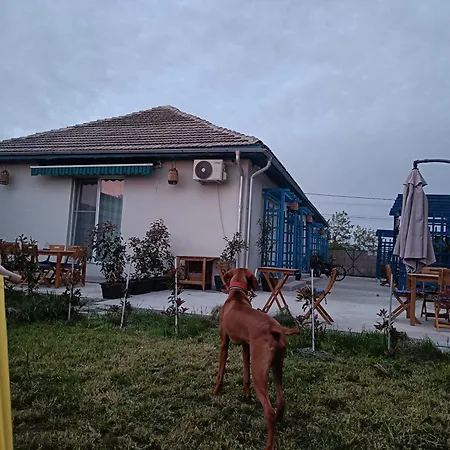 Vadooinn Penzion *